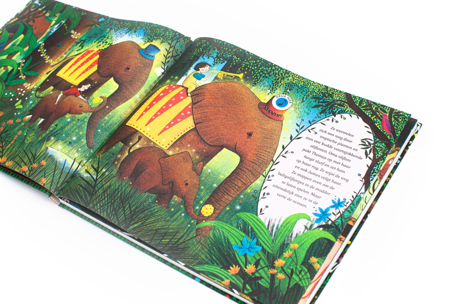 Het verhalenorkest: Carnaval der dieren | Muziekboek - Afbeelding 3