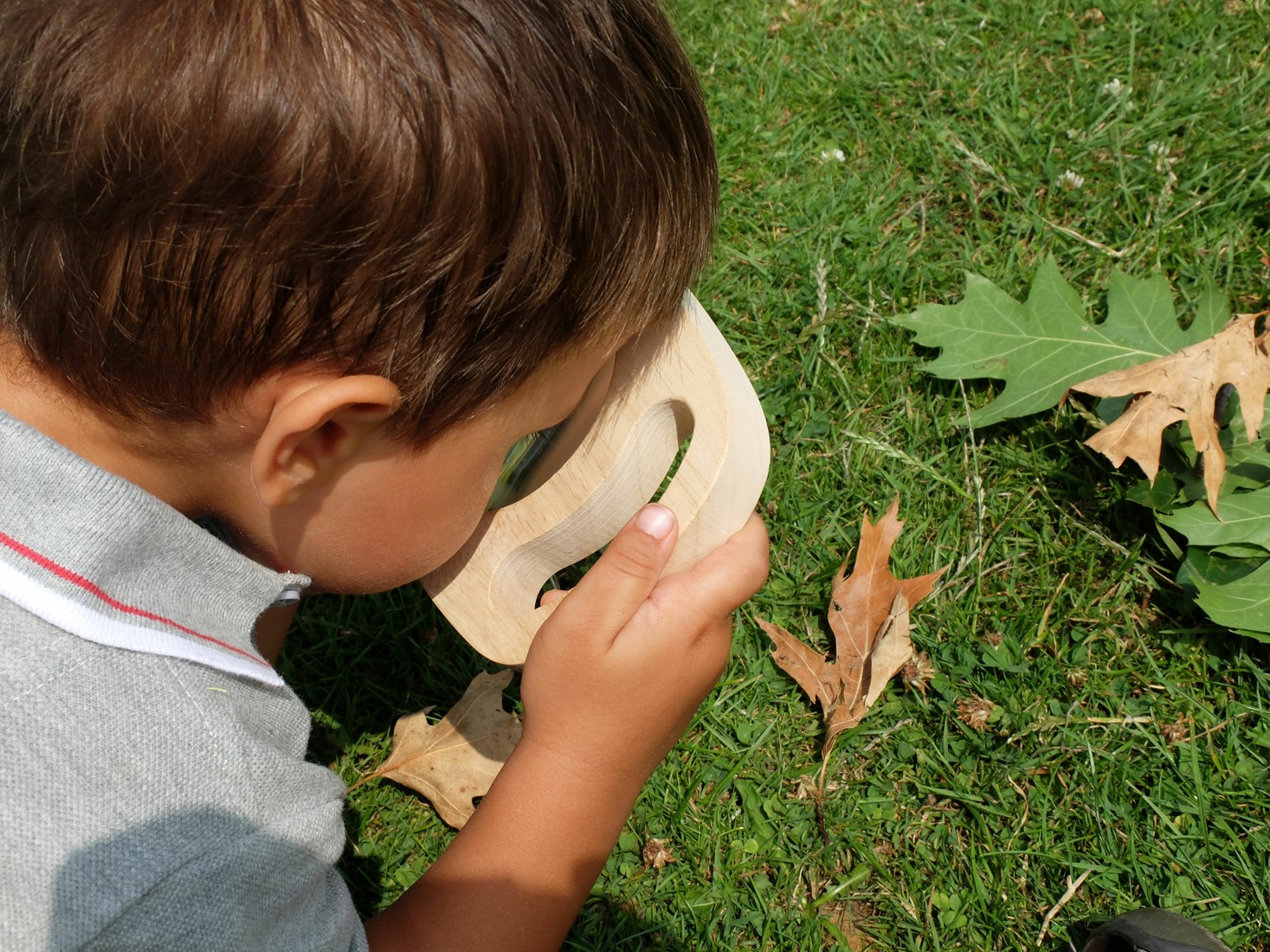 Tickit - Easy Hold Vergrootglas - Afbeelding 10