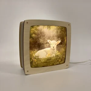 Toverplaat Toverlamp - Springbreak I Iris Esther