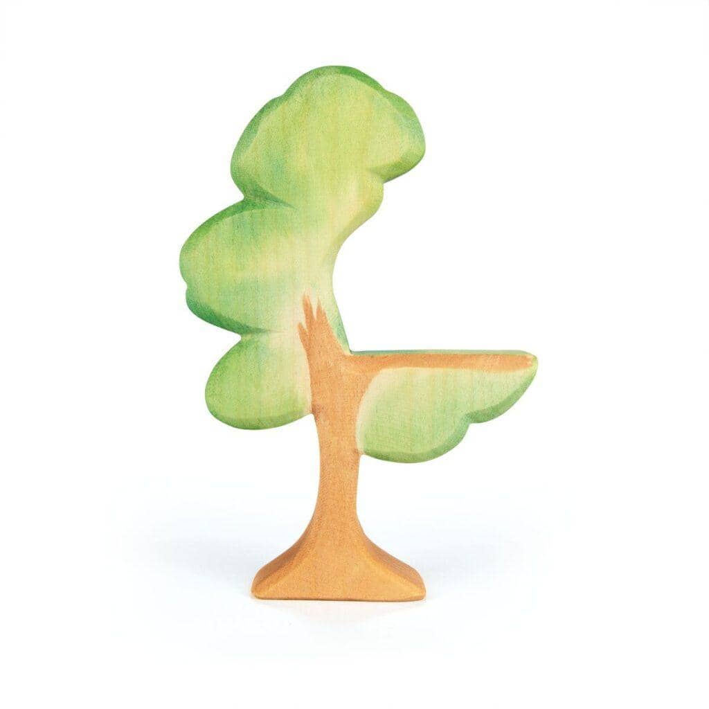 Ostheimer - Eucalyptus Boom | 20610