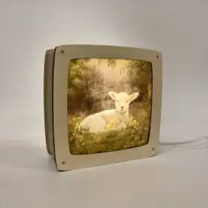 Toverplaat Toverlamp - Springbreak I Iris Esther