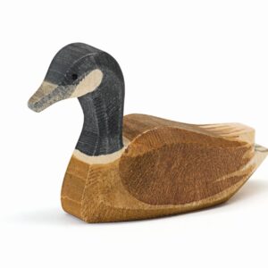 ostheimer-canadese-gans-zwemmend-22703