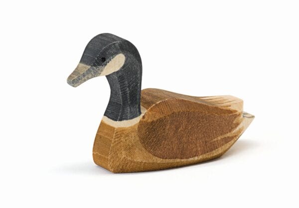ostheimer-canadese-gans-zwemmend-22703