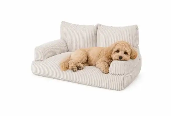 Shappy - Pet Sofa | Huisdierenbank voor katten en kleine honden