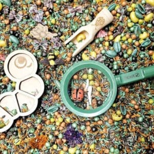 Inhoud van PourAndPlay Backyard Bugs met speelmix en insectenaccessoires