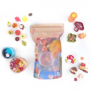 Invitation to Imagine Woodlands Wonders Busy Bag met Dutch Dough en bosaccessoires